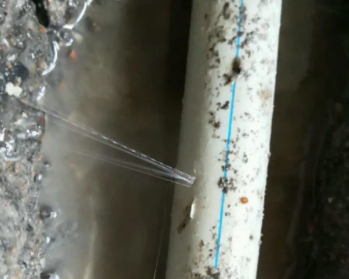 塔河卫生间测漏水多少钱